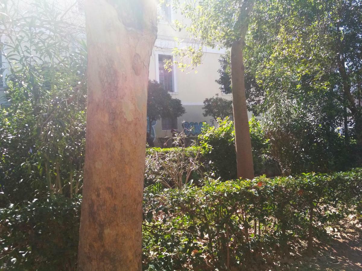 Ηeart Of Athens, Solonos Str.公寓 外观 照片